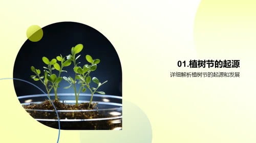 绿色力量：植树行动