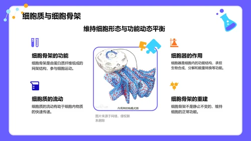 紫色插画风高中生物课程教学课件PPT模板