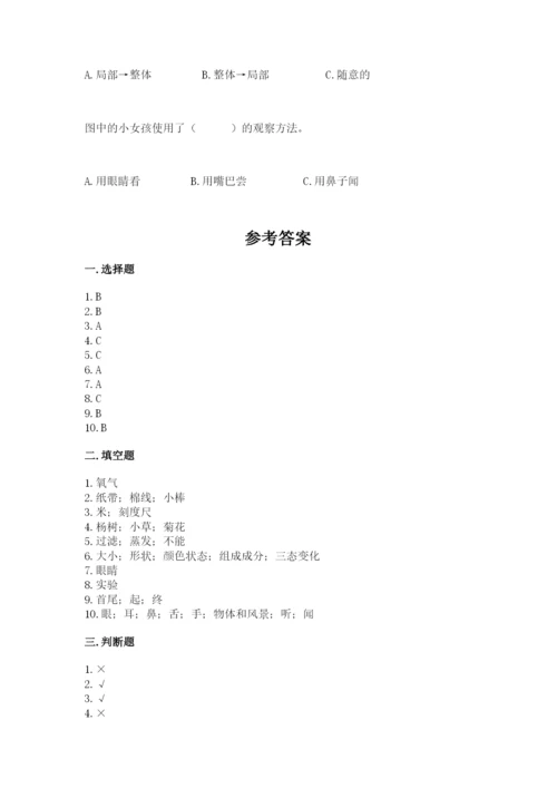 教科版一年级上册科学期末测试卷带答案（最新）.docx