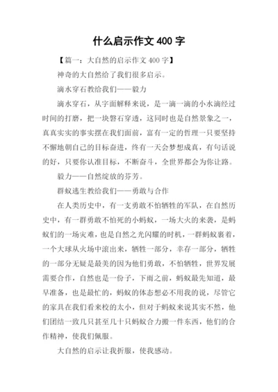 什么启示作文400字.docx