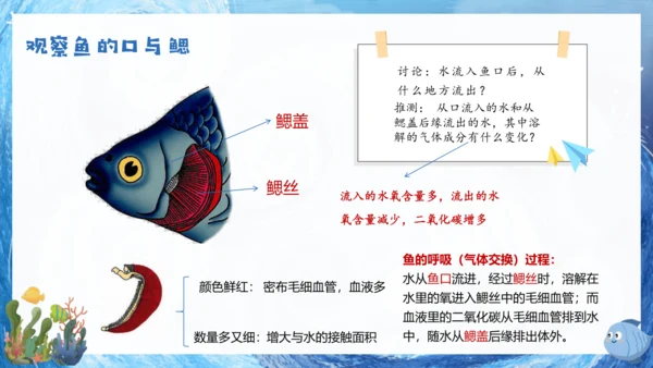人教版生物七年级上册2.2.2《脊椎动物》课件(共22张PPT)+视频素材