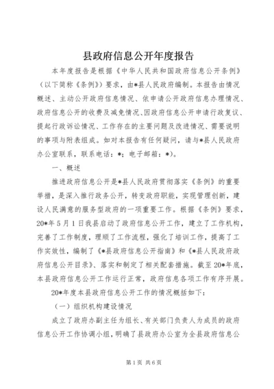 县政府信息公开年度报告 (2).docx