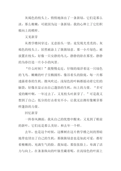 又见枝头吐新芽作文800字.docx