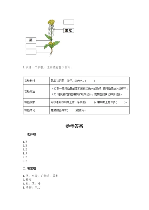 教科版四年级下册科学第一单元《植物的生长变化》测试卷精品【完整版】.docx