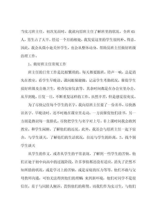 大学生高中语文实习总结