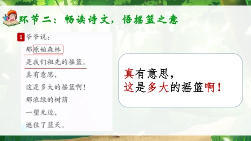 23《祖先的摇篮》说课课件