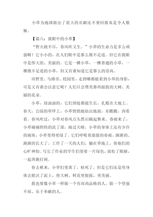 我眼中的小草作文300字.docx