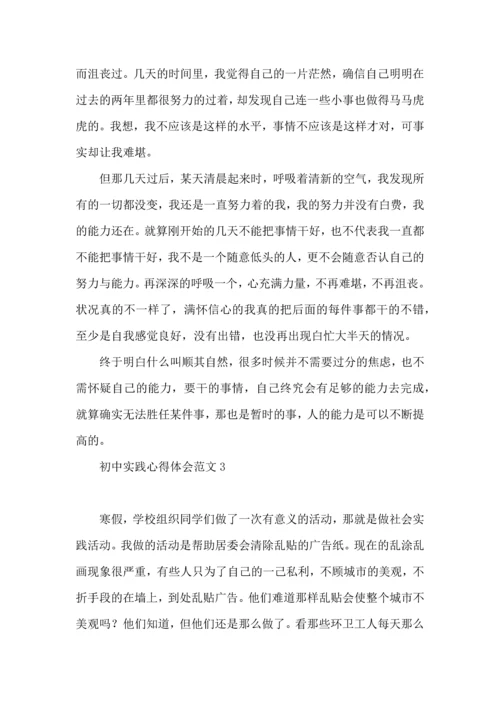 初中实践心得体会范文.docx