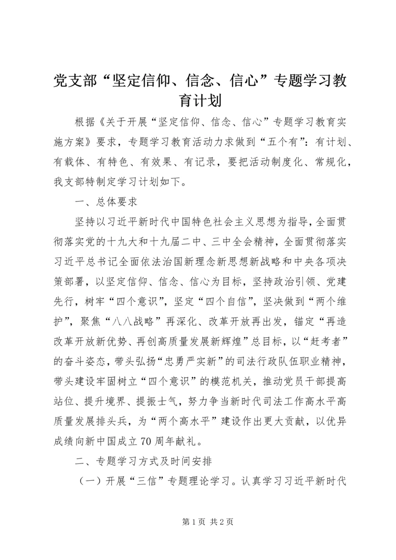 党支部“坚定信仰、信念、信心”专题学习教育计划.docx