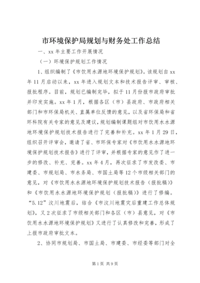 市环境保护局规划与财务处工作总结.docx