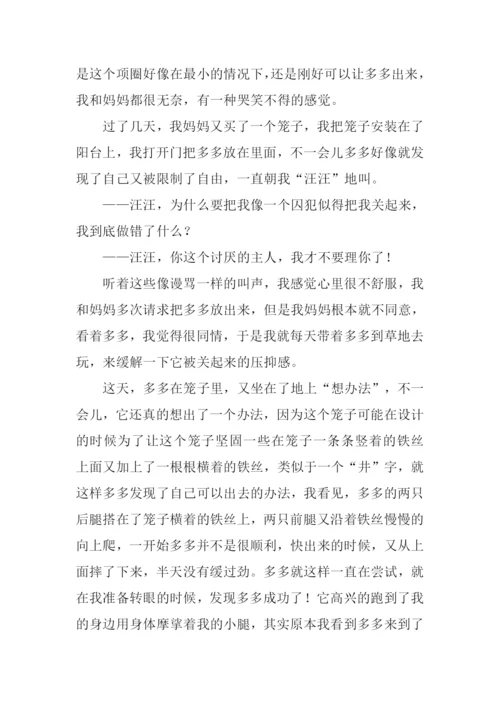 逝犬多多00.docx