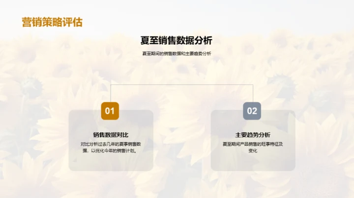 夏至营销战略解析