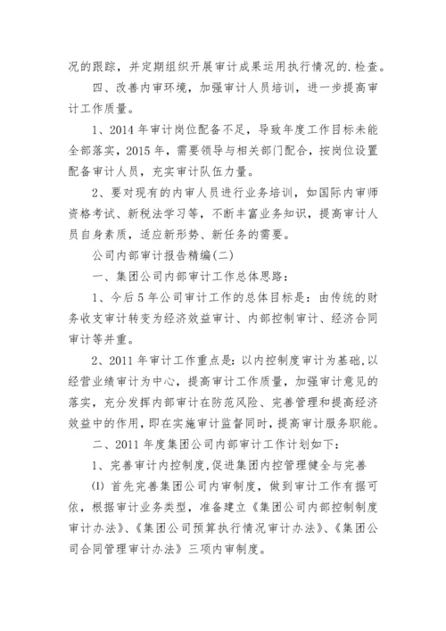 公司内部审计报告精编.docx