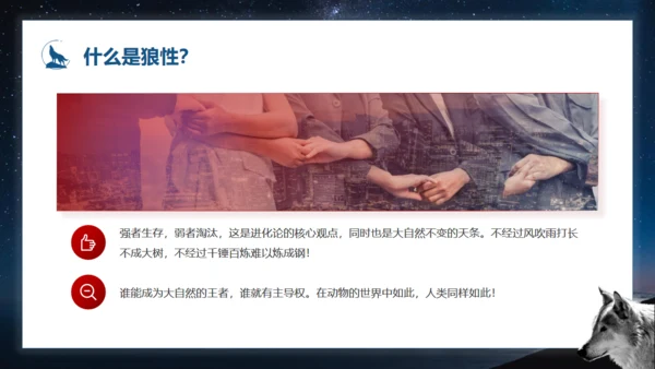 如何打造狼性团队培训狼文件通用PPT模板