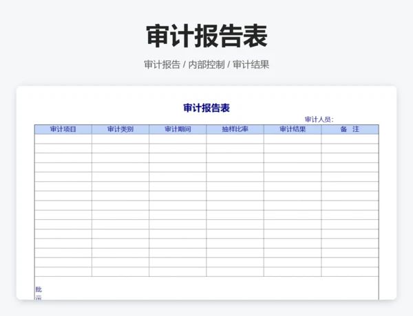 审计报告表