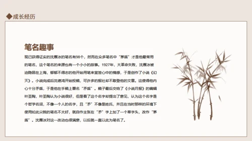 茅盾作家生平介绍通用PPT模板