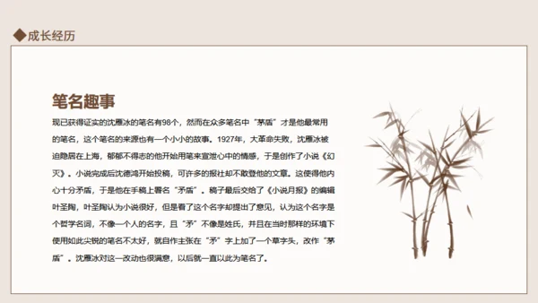 茅盾作家生平介绍通用PPT模板