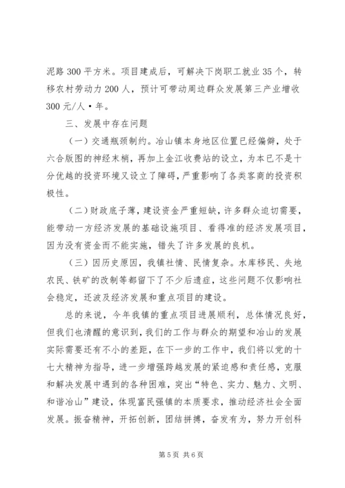 乡镇重点项目完成情况汇报_1.docx