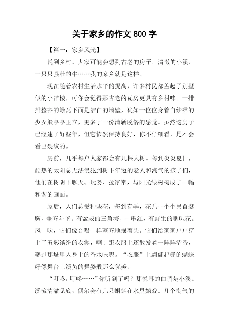 关于家乡的作文800字.docx
