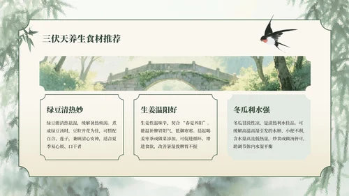 绿色清新古风竹林三伏天养生PPT模板