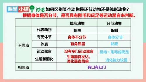 5.1.2线形动物和环节动物课件-人教版生物八年级上册(共47张PPT)