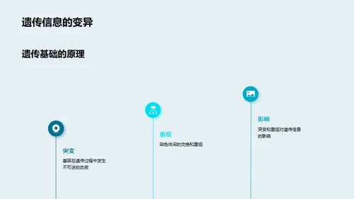 高中生物课堂：遗传基础