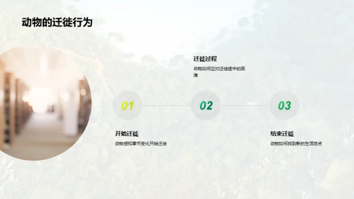 动物世界的奥秘