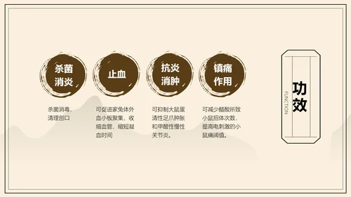 中国风中医药医疗保健产品介绍