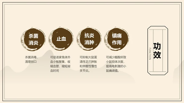 中国风中医药医疗保健产品介绍