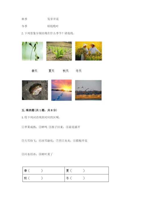 教科版二年级上册科学期末测试卷含答案（实用）.docx