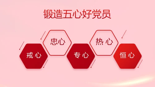 红色党支部党员代表大会工作总结PPT