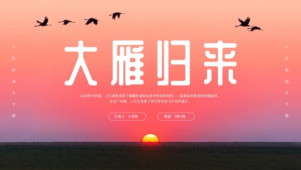 粉色简约八年级语文下册大雁归来PPT模板宣传PPT动态PP