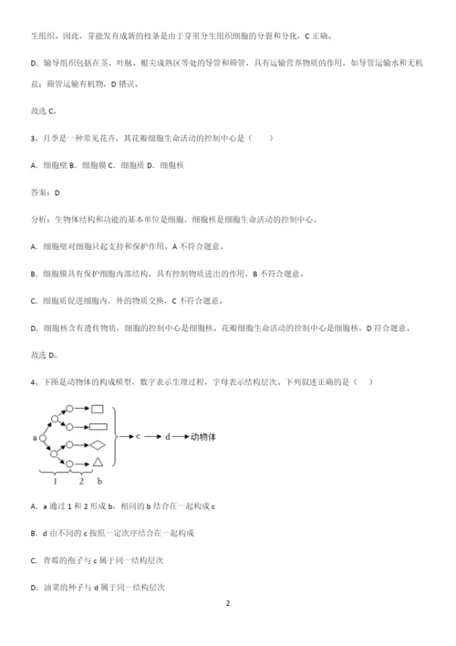 人教版初中生物七年级上册第二单元生物体的结构层次考点大全笔记.docx