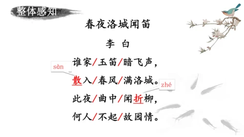 第三单元 课外古诗词诵读 春夜洛城闻笛 课件