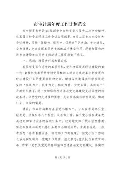 市审计局年度工作计划范文.docx