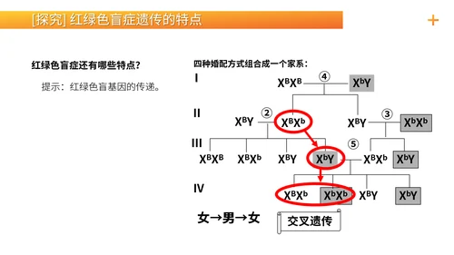 基因学伴性遗传初高中生物PPT课件