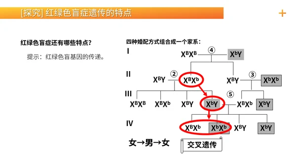 基因学伴性遗传初高中生物PPT课件