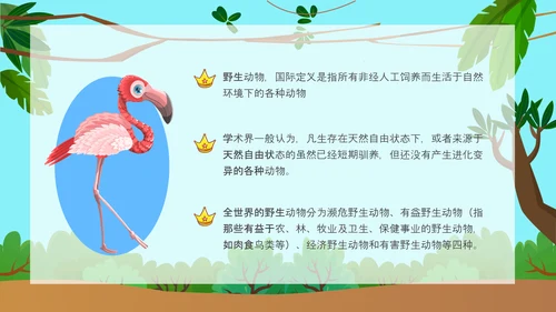 野生动物保护公益活动PPT模板
