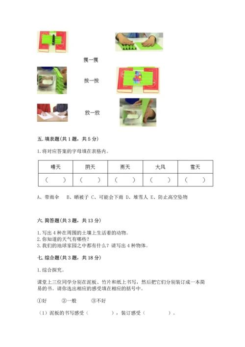 教科版二年级上册科学期末测试卷a4版打印.docx