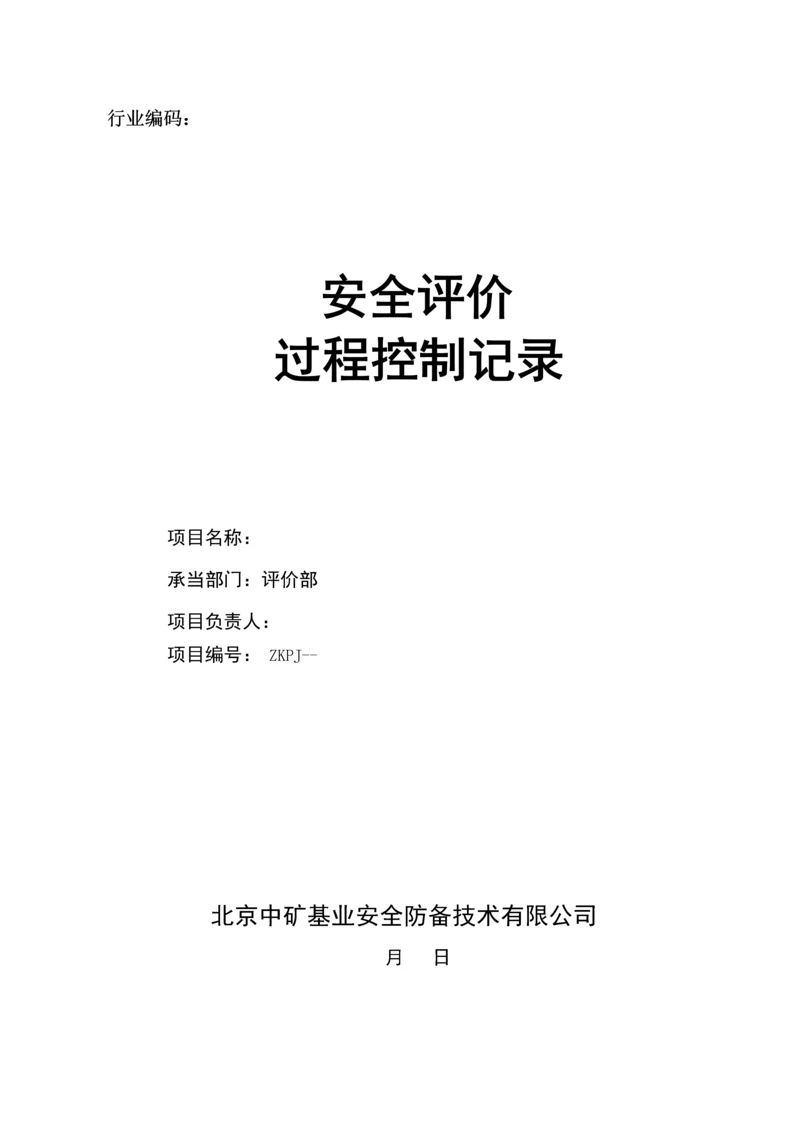 安全评价过程控制实施标准细则.docx