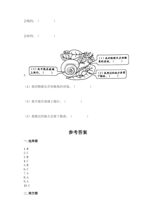 教科版一年级下册科学期末测试卷及答案【历年真题】.docx