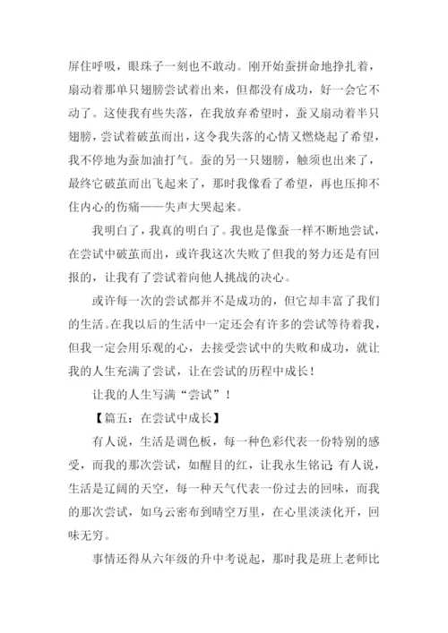 在尝试中成长初三作文.docx