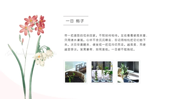 清醒纪植物绘小清新文艺女青年通用PPT模板