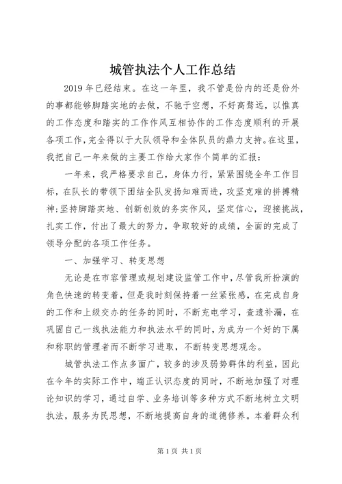 城管执法个人工作总结.docx