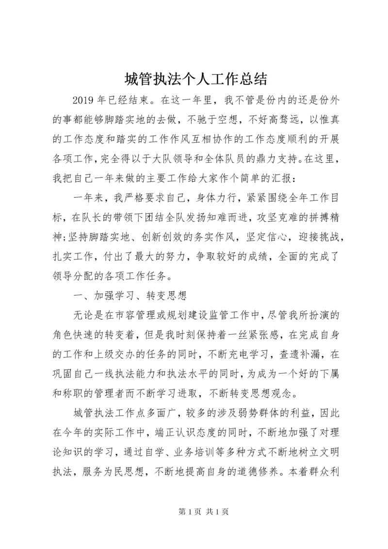 城管执法个人工作总结.docx