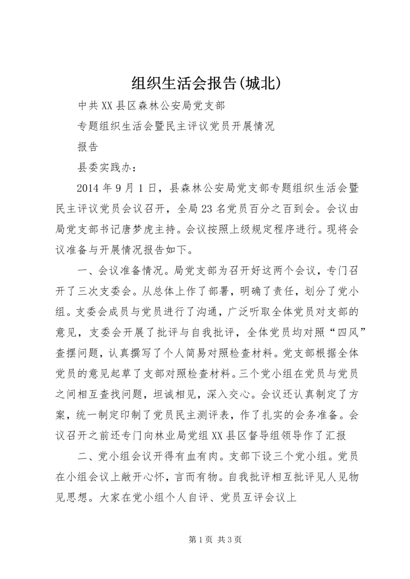 组织生活会报告(城北) (2).docx