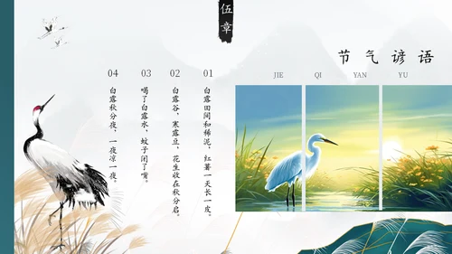 白露白鹤通用PPT模板