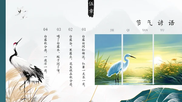 白露白鹤通用PPT模板