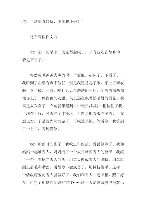 这个寒假作文300字