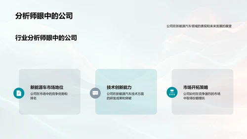 新能源车年度报告